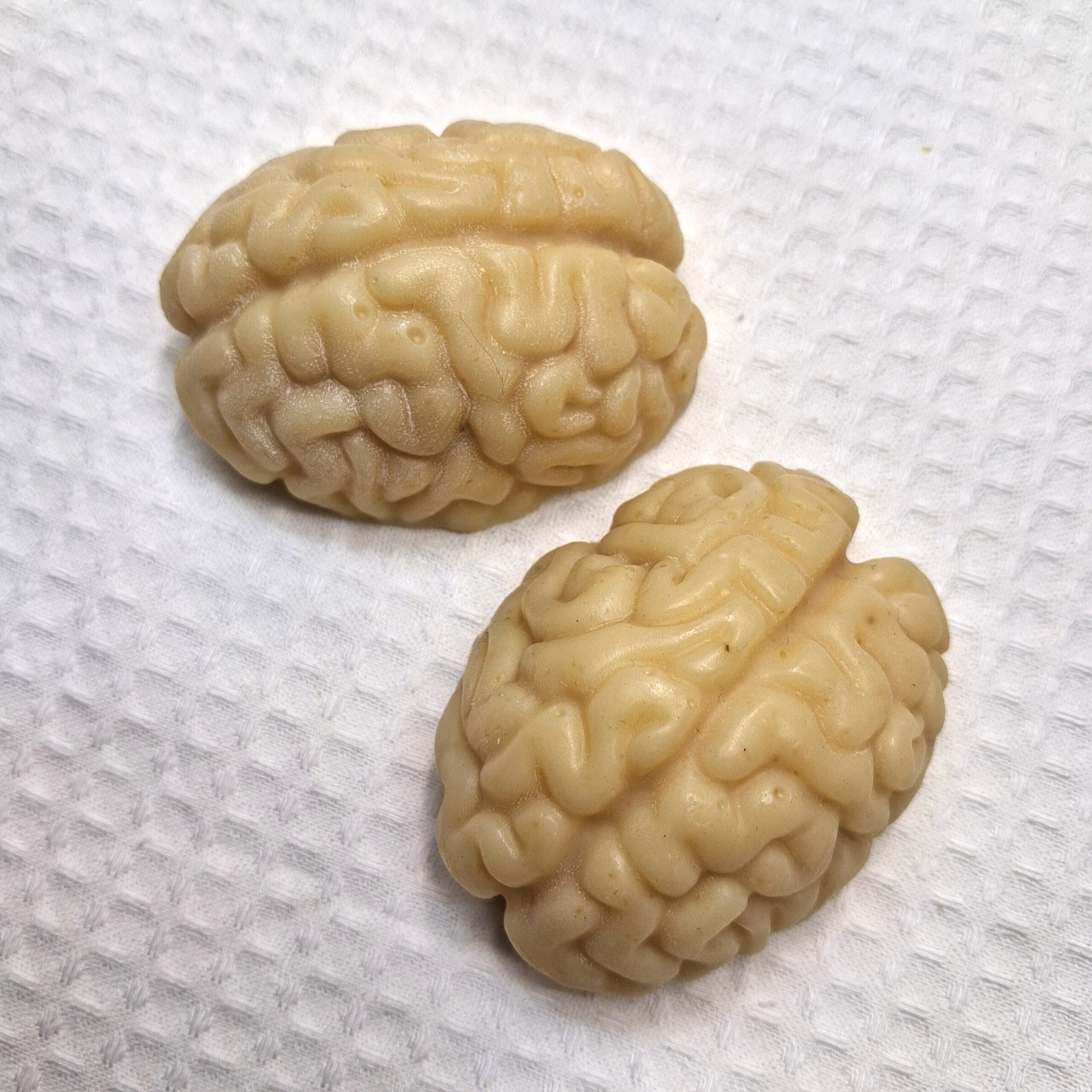 aivopesu kaura - Pilt 3